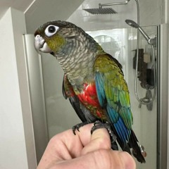 👑Arsl💥Raja👑