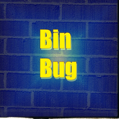 BinBug’s avatar