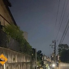 鳥たちを見てごらん、なんて平和なんだろう