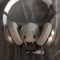 かなでよいさき