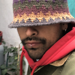 Monkey Consciousness