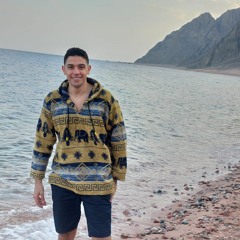 Hatem El hoot