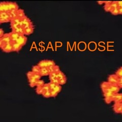 A$AP MOOSE