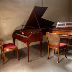 Anders Muskens - fortepiano and harpsichord