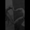 -أمــول))"