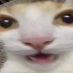yaimyung