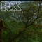 RX Samples