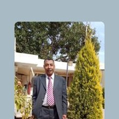 أبو محمد المصرى