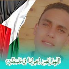 احمد المصرى