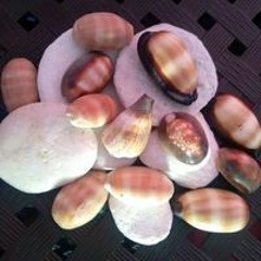 Tetumihi