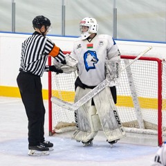 izvestniy golkiper