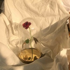 Mari..°☆.○.°♡