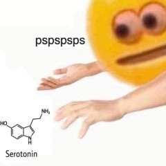 0000