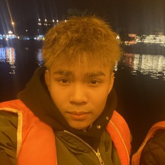 huunguyensliver