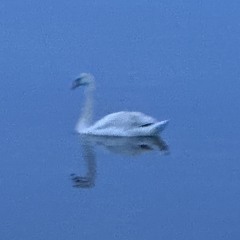 ‏‏‏‏‎ ‏‏‎ ‎