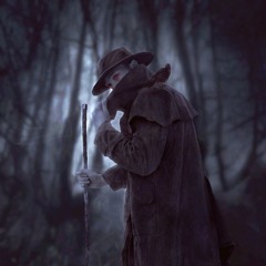 Il Viandante Del Nord