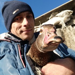 Андрій Гарбар