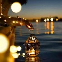 حبيبة حبيبة