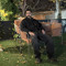 mohamad meygoli