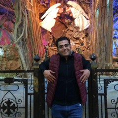 Mina Medhat Helmy
