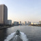 shigepon0517
