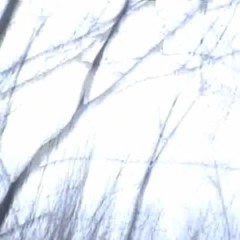 petrichor