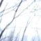 petrichor