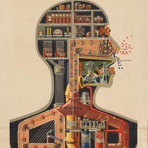 Anthony Pappa ‎– The Best of Platipus CD1 (1999)