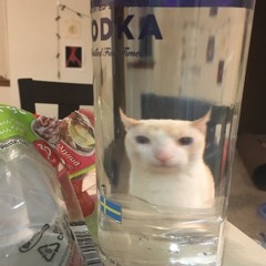 BP