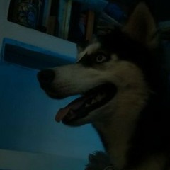 Franko