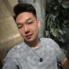 Bin Anh