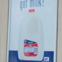 got milk