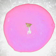 Little Jamaica Recordings