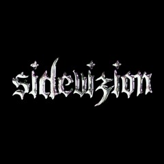 SideVizion