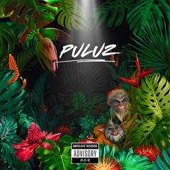 Puluz