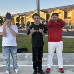BagzTribe ENT.