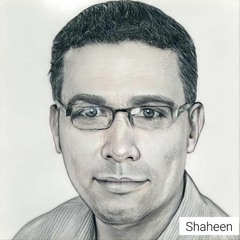 Mahmoud Shaheen
