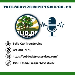 Solid Oak Tree Service