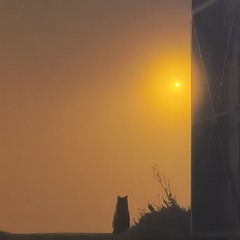 Alejandro Corral Alonso