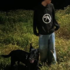 bloodhails