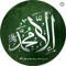 Magdy Mohamed