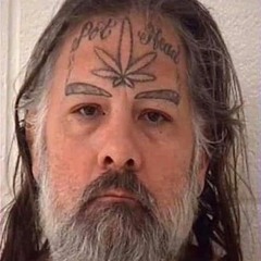 stoneyhawksproskater