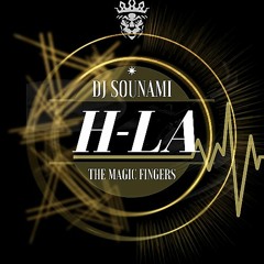 Dj sounami-Hla