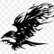 Blackhawk