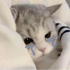 𝑯𝒐̂̀ 𝑽𝒊𝒆̂́𝒕 𝑸𝒖𝒚𝒆̂́𝒕 ♫