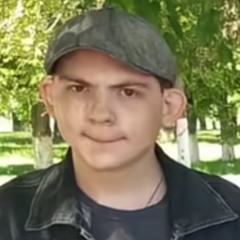 Kasen feniks