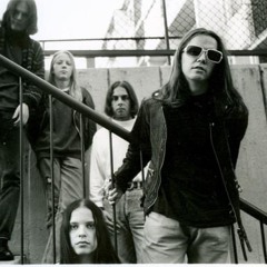 Chickweed Wintergreen