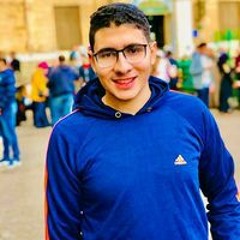 Amr Aldamaty