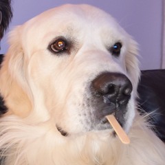 Jz2CoolDude