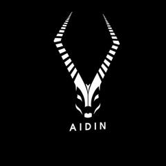 aidin2161